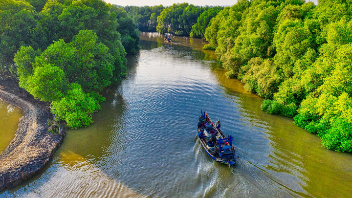 Jubail Mangrove Park