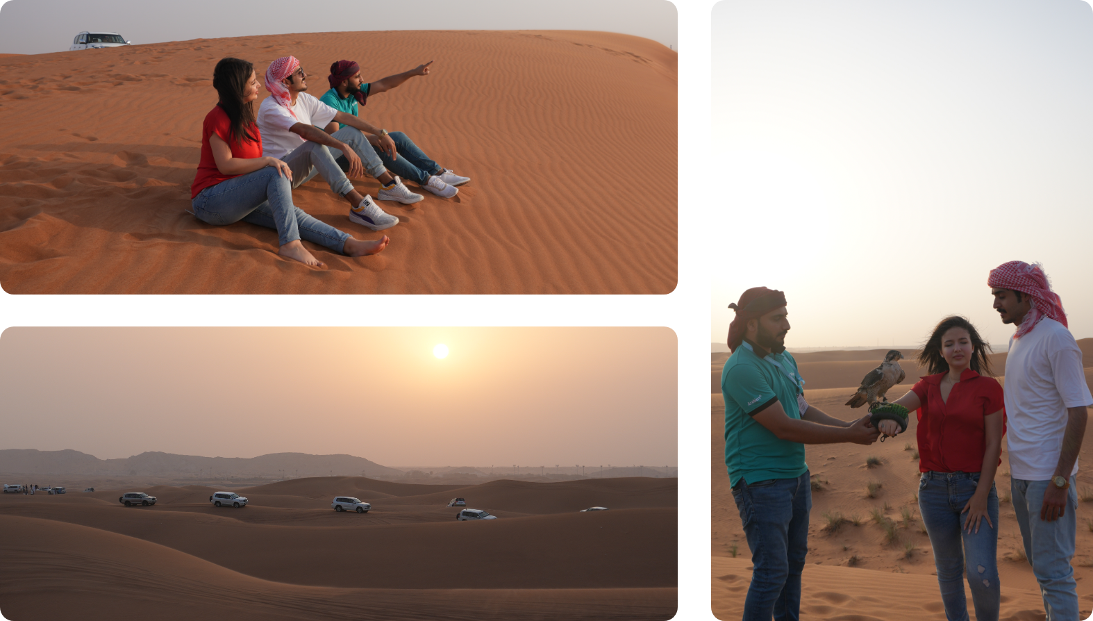 Evening Desert Safari in Dubai